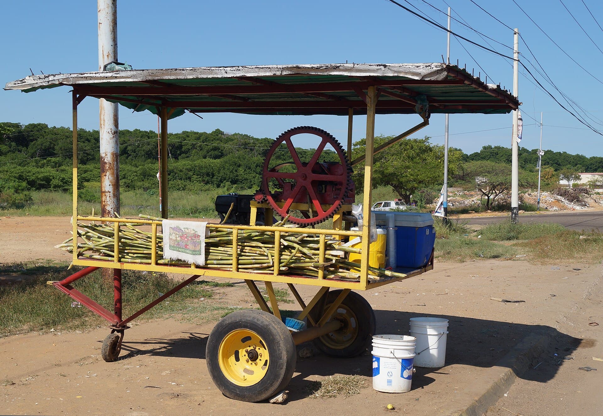 Cultivo de Caña de azúcar