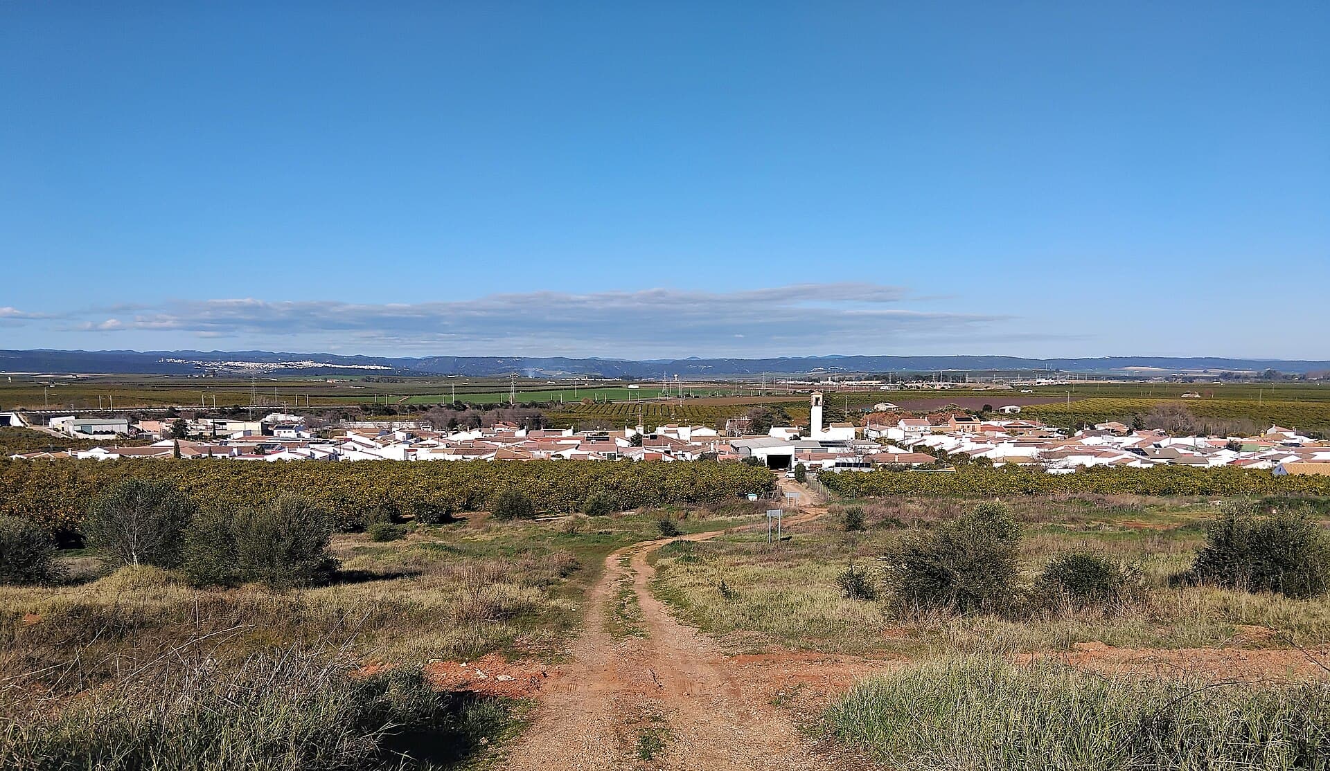 Cultivo de Céspedes