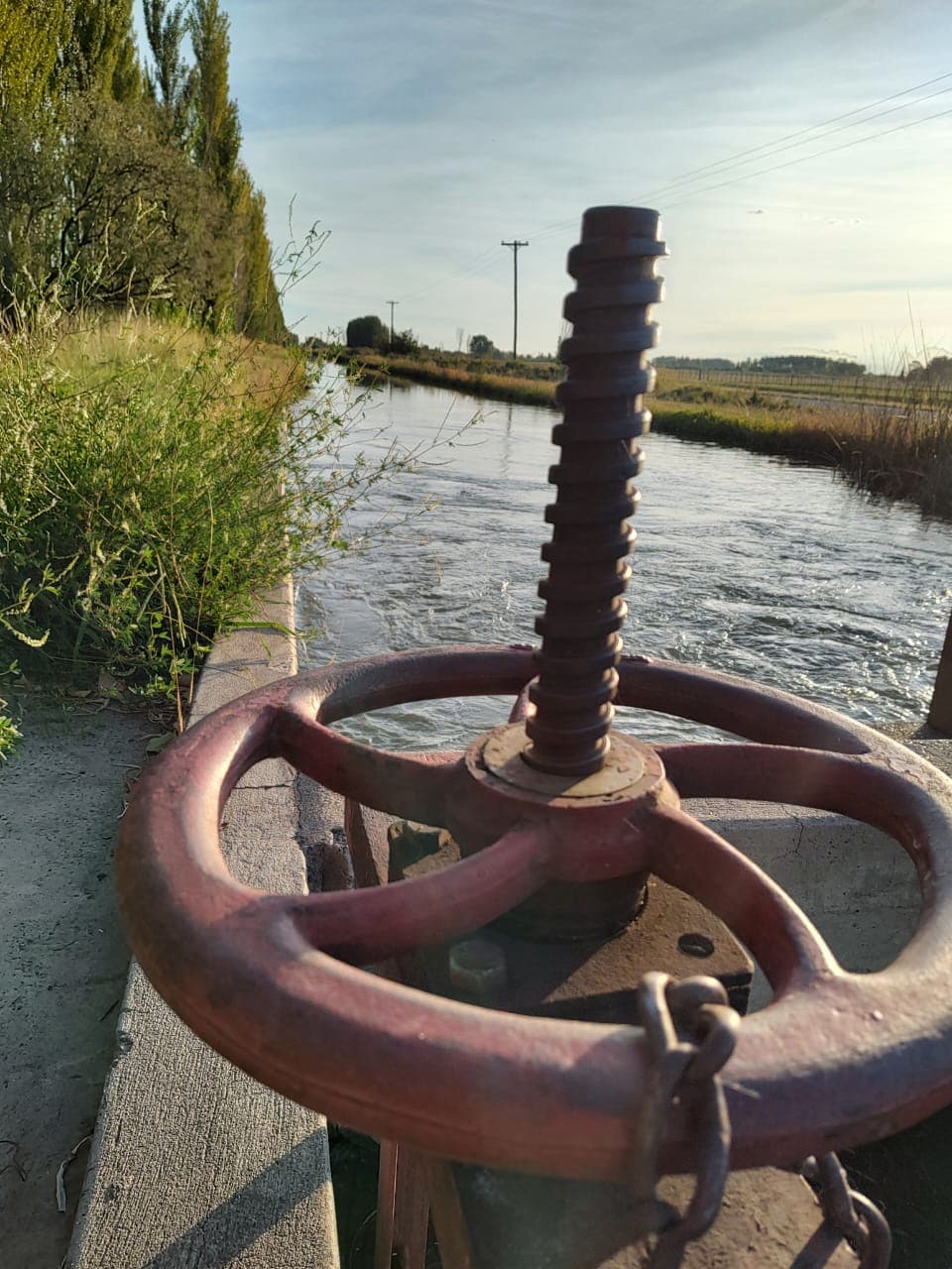 Cultivo de Canales de riego