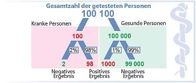 Plaga de CRIBADO, PERDIGONADO, WILSONOMYCES CARPOPHILUS