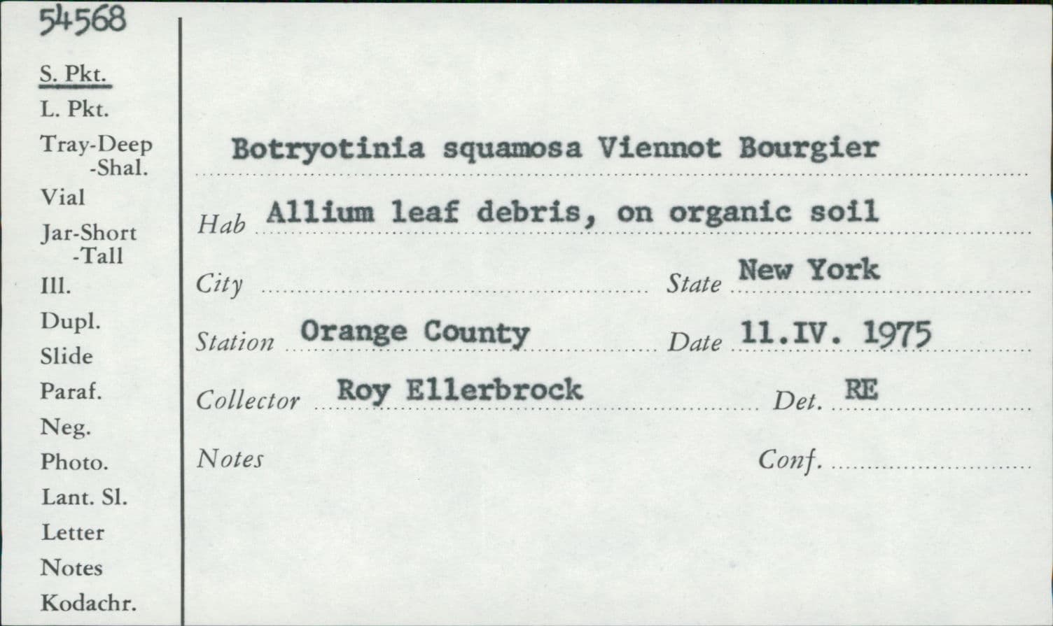 Plaga de PODREDUMBRE DE LA CEBOLLA, BOTRYOTINIA SQUAMOSA