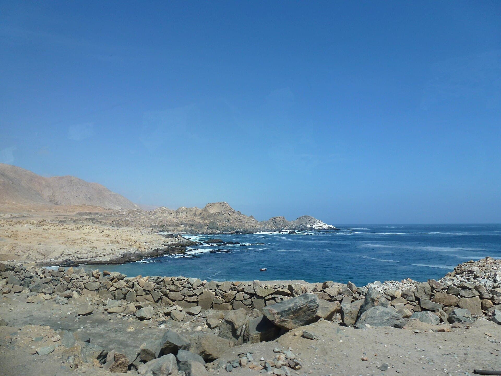 Plaga de PUNTA BLANCA, MILDIU DEL PUERRO, PHYTOPHTHORA PORRI