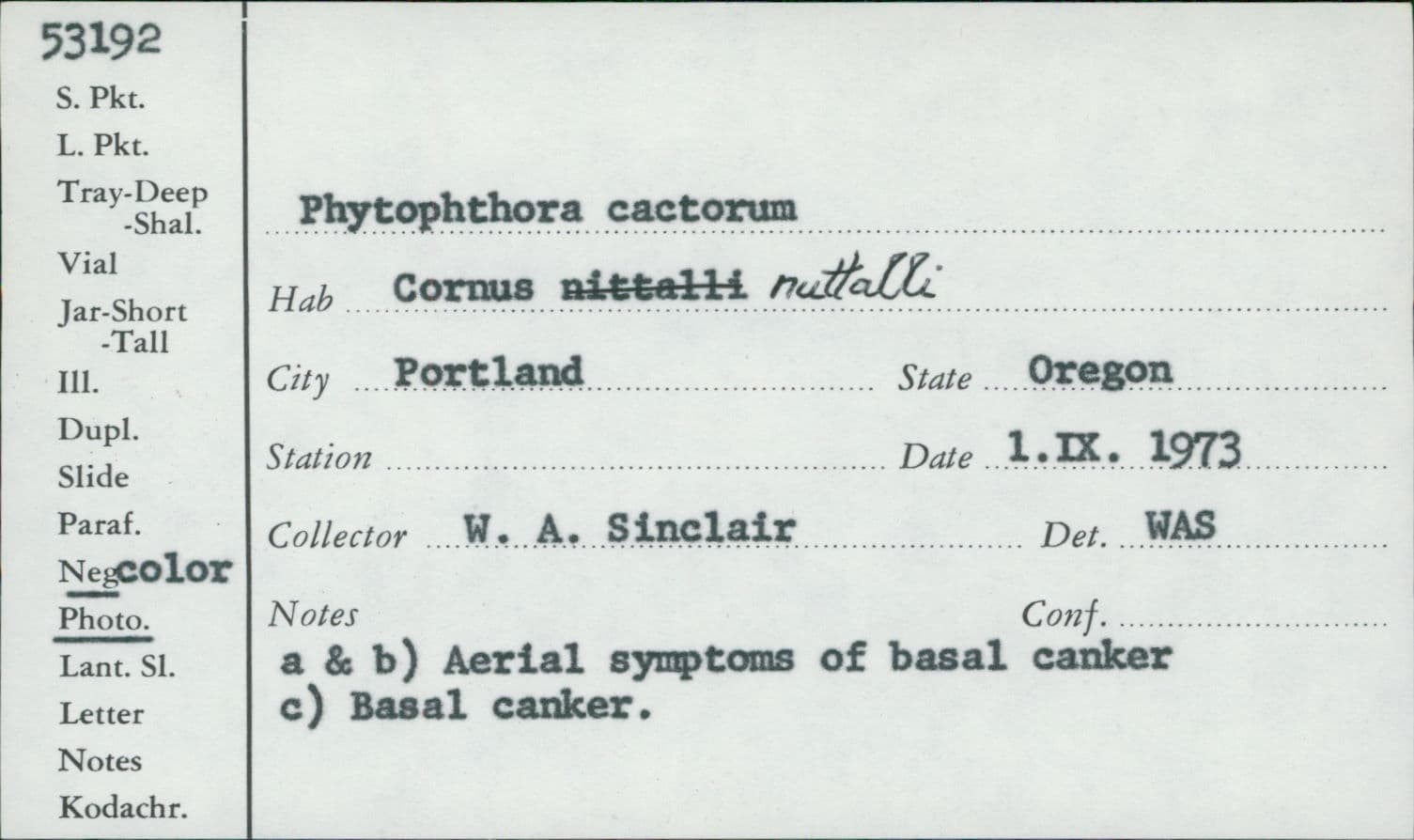 Plaga de PODREDUMBRE DEL TRONCO, CORONA Y FRUTO, PHYTOPHTHORA CACTORUM