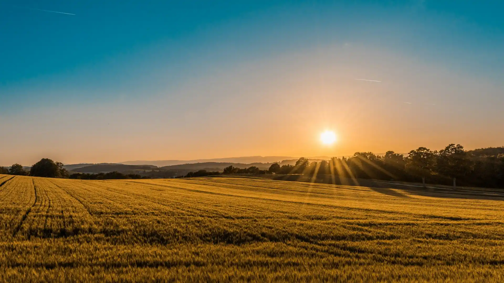 Paisaje agrícola de fondo en Vademeco