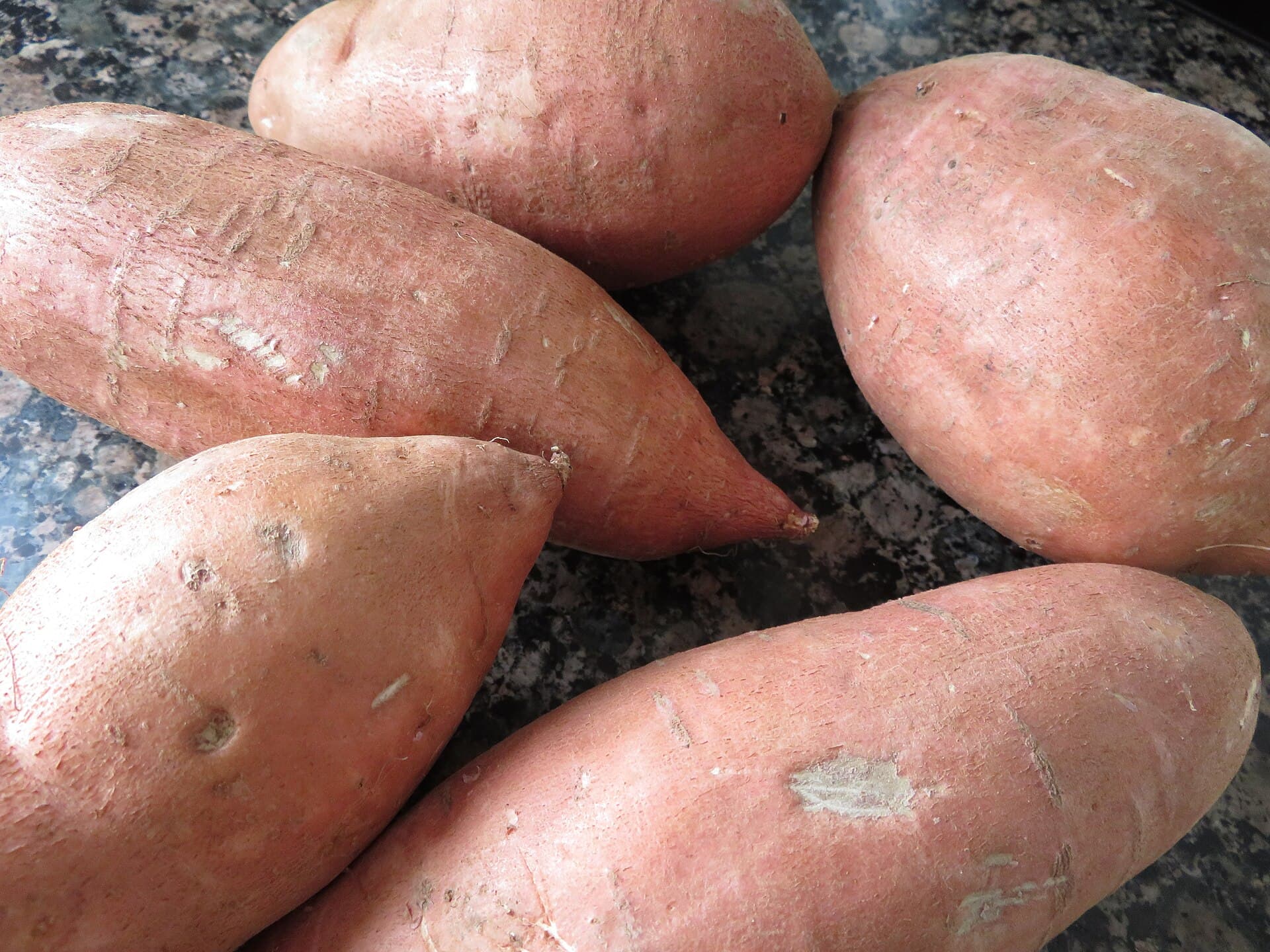 Cultivo de Batata, boniato