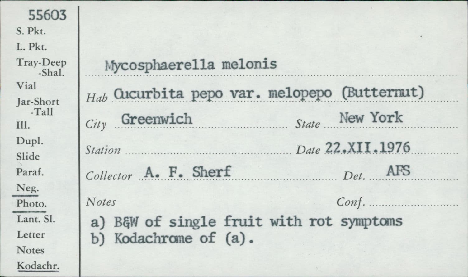 Plaga de CHANCRO GOMOSO DEL TALLO DE LAS CUCURBITÁCEAS, STAGONOSPOROPSIS CUCURBITACEARUM