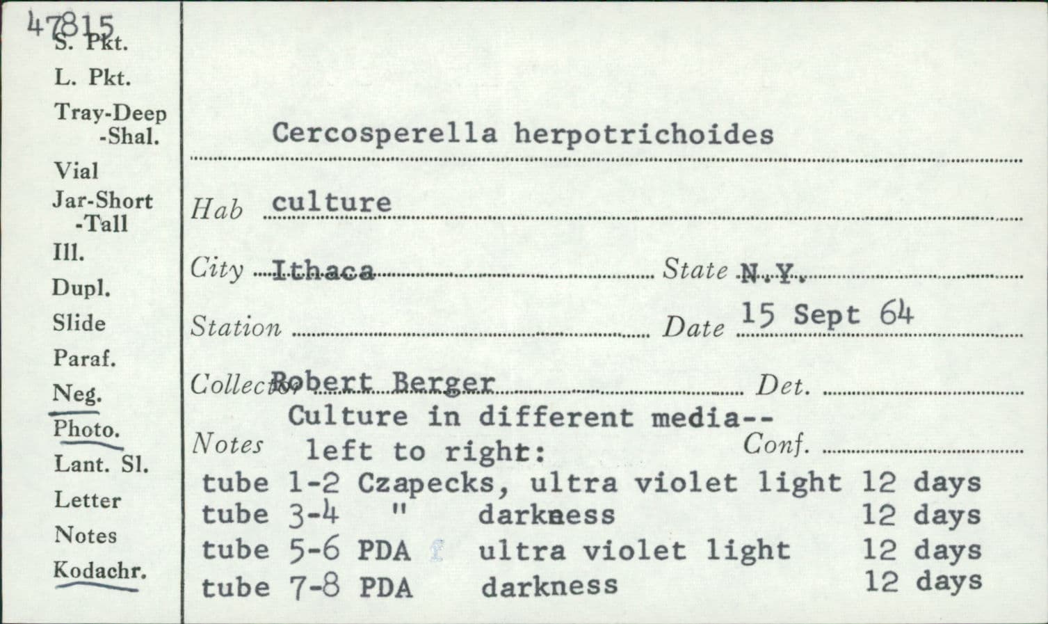 Plaga de MANCHA OVAL DEL PIE DEL TRIGO, OCULIMACULA YALLUNDAE